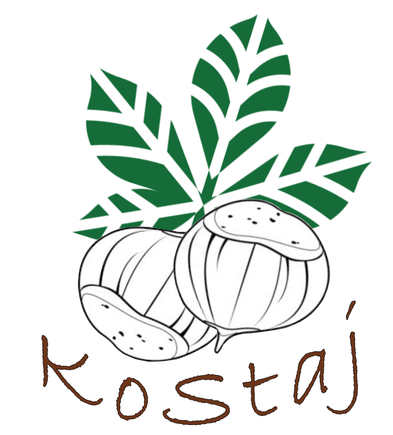kostaj.com – !!! STRANICA U IZRADI !!!